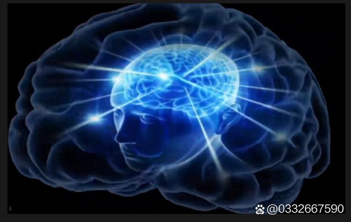 某综艺新一季开播嘉宾阵容引期待的影视综评配图